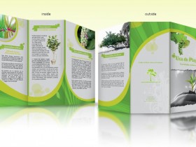 brochure 5