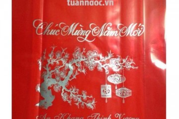 In túi nilon Hà Nội – Dịch vụ in túi nilon giá rẻ chất lượng tại Hà Nội