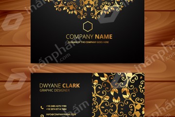 IN CARD VISIT GIẤY MỸ THUẬT