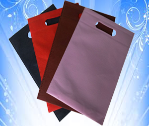 tui-vai-khong-det-ep-duc-lo-quai-img-1417502837 tui-vai-khong-det-ep-duc-lo-quai-img-1417502837