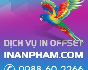 Những lưu ý khi thiết kế và in card visit