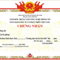giay-cn