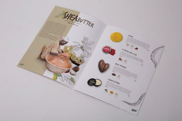 Thiết kế, in catalogue spa