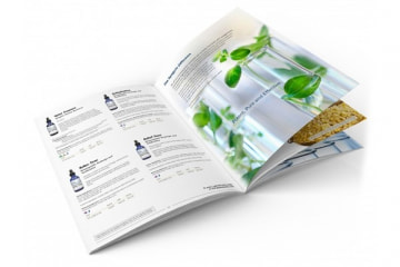 Thiết kế catalogue đa dạng